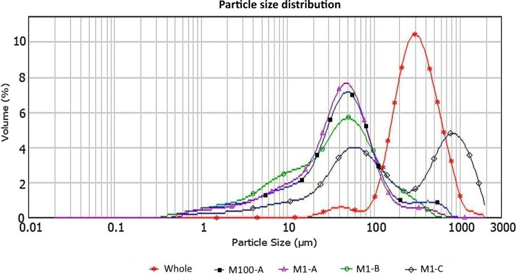 Figure 11