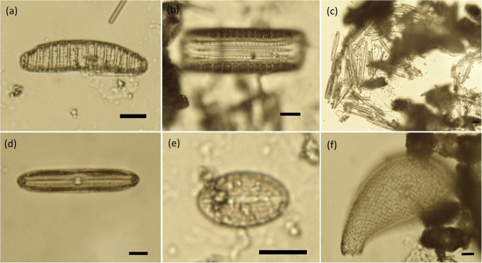 Figure 17