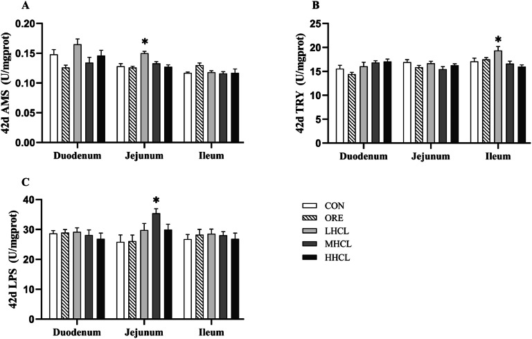 Figure 10