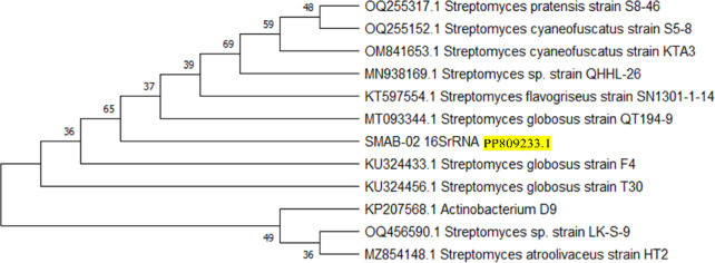 Figure 6
