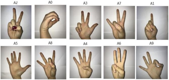 Figure 5