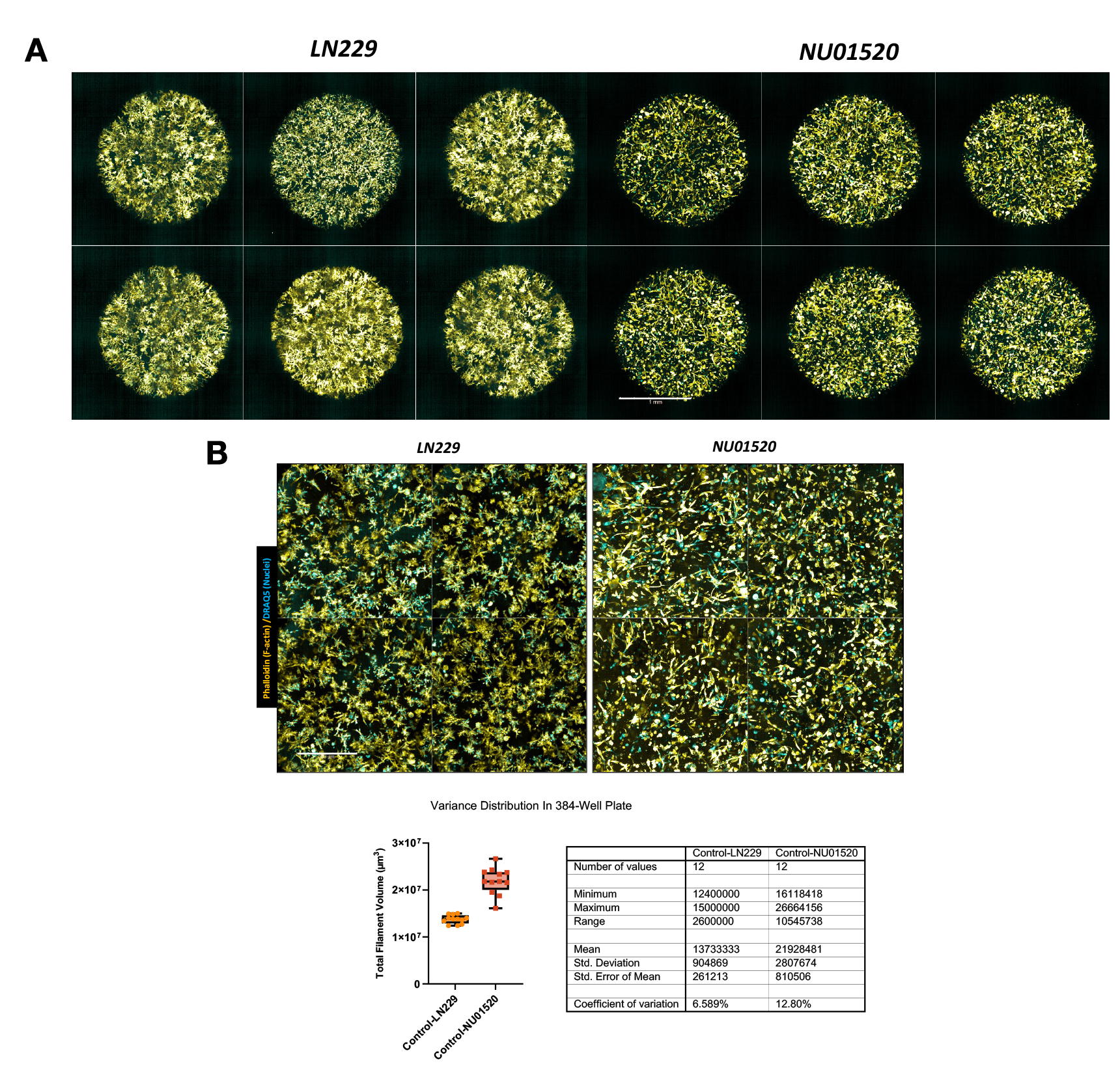 Figure 12