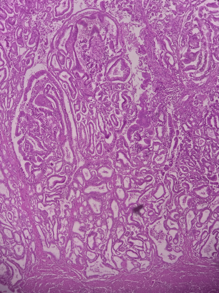 Figure 9