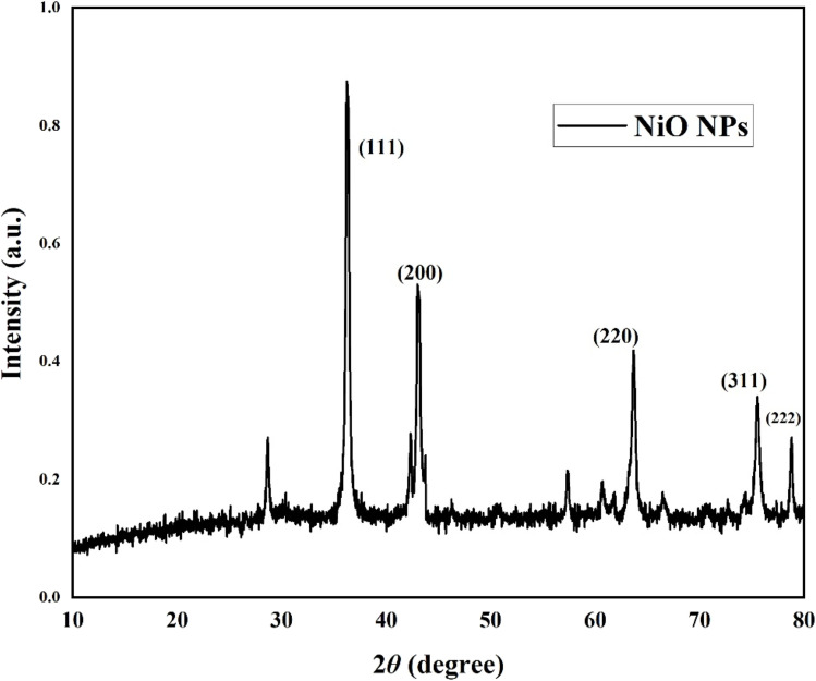 Figure 11