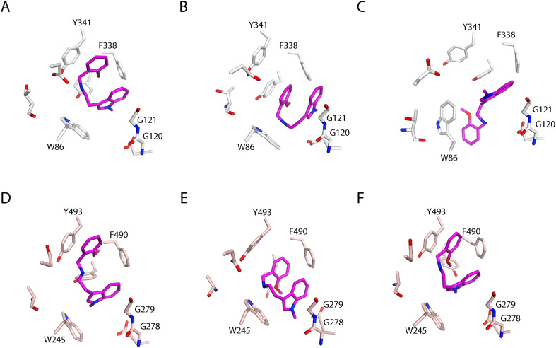 Figure 6