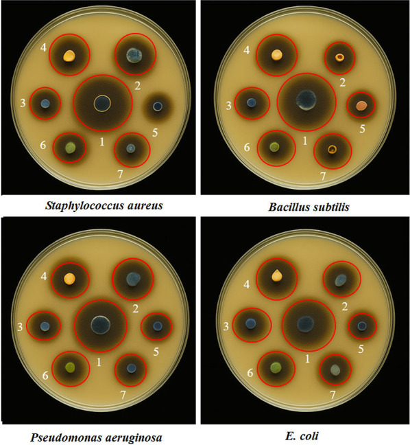 Figure 10
