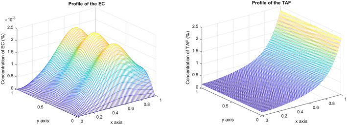 FIGURE 6