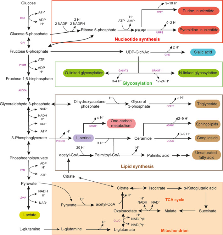 FIGURE 2