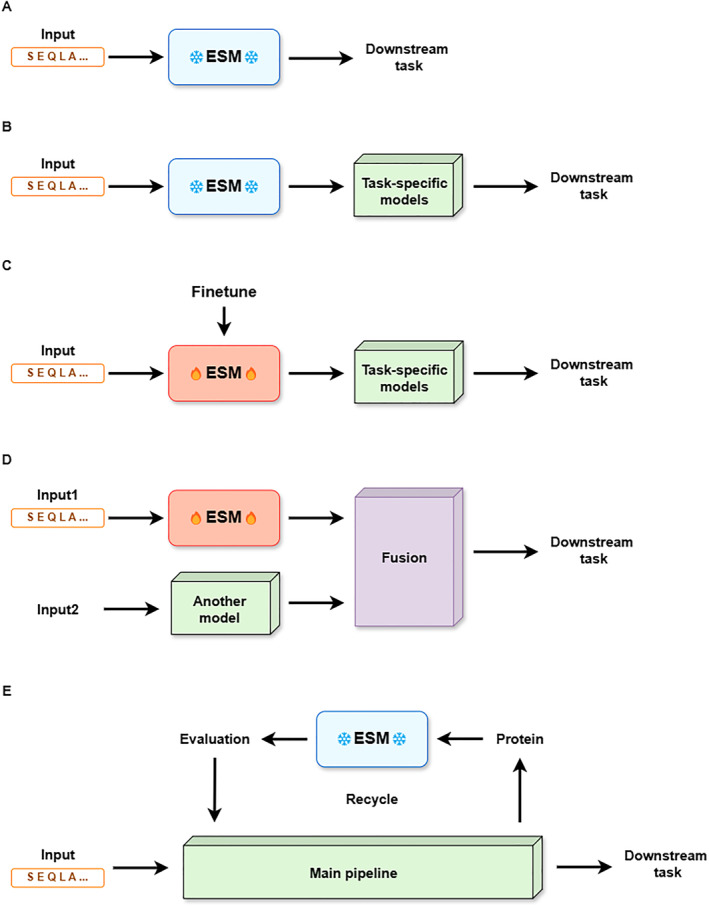 FIGURE 3