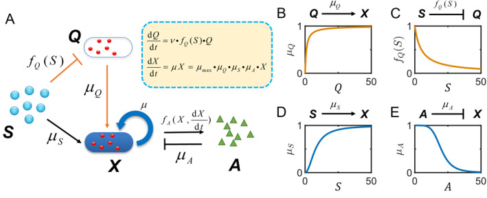 FIGURE 1