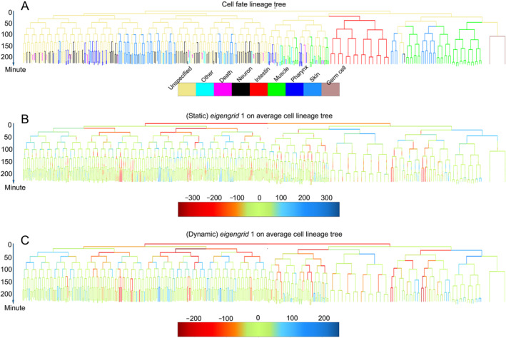 FIGURE 3