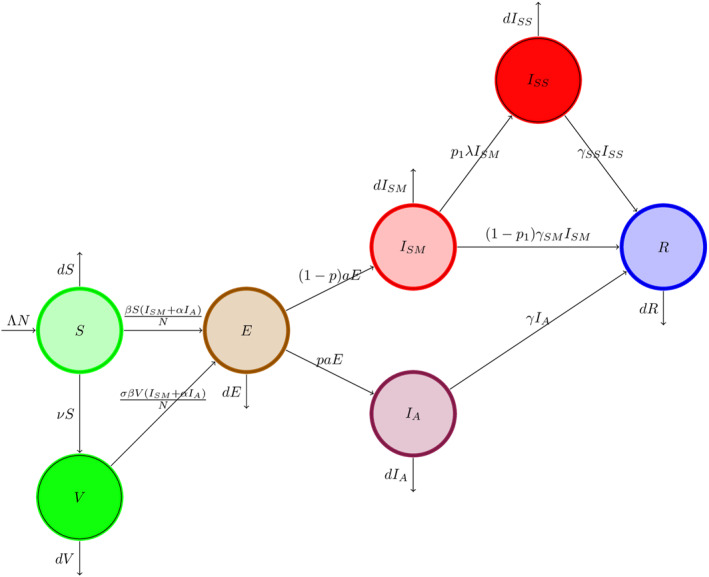 FIGURE 1