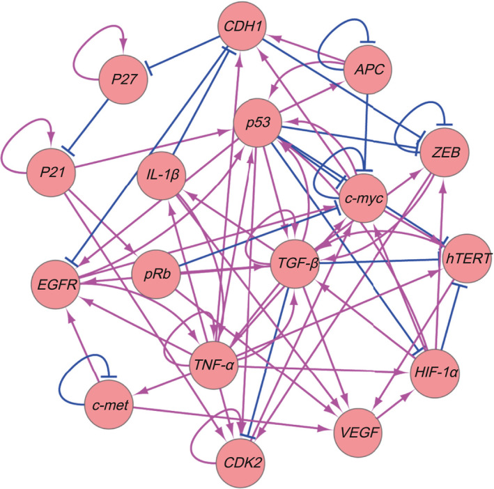 FIGURE 1
