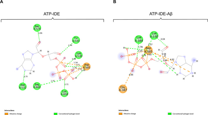 FIGURE 3