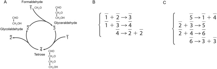 FIGURE 2