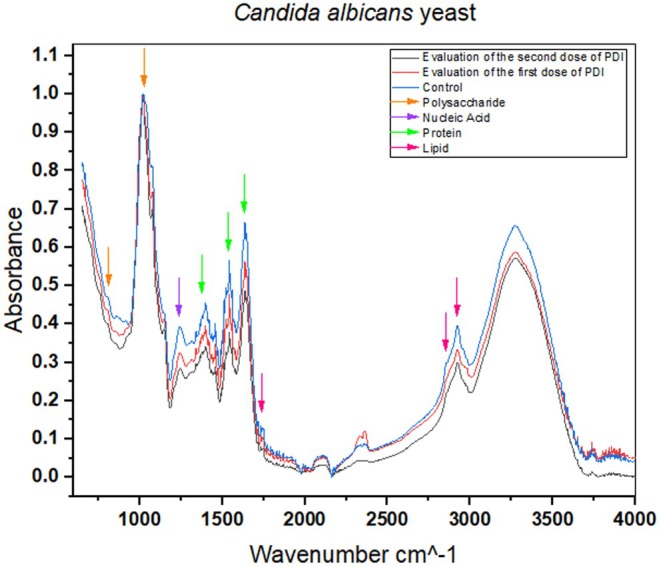 FIGURE 6