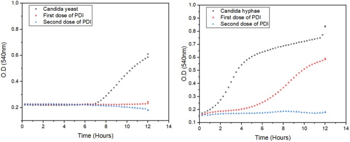 FIGURE 4