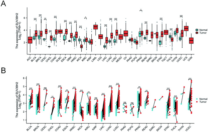 Figure 1