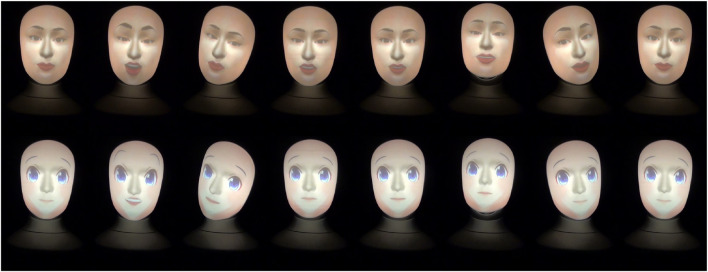 FIGURE 1