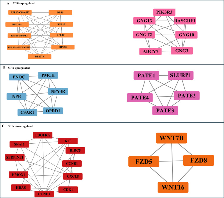 Figure 4