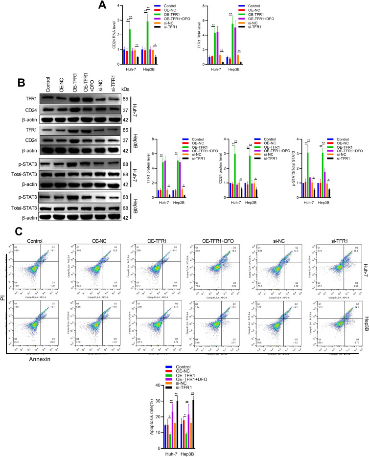 Figure 6