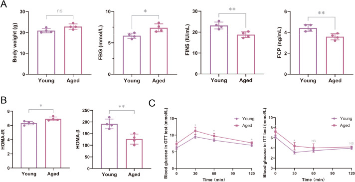 Figure 2