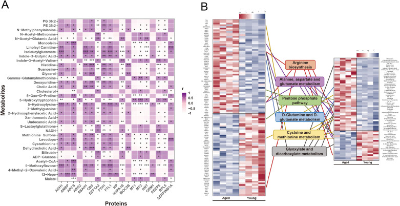 Figure 5