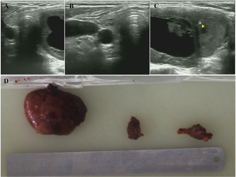 Figure 1