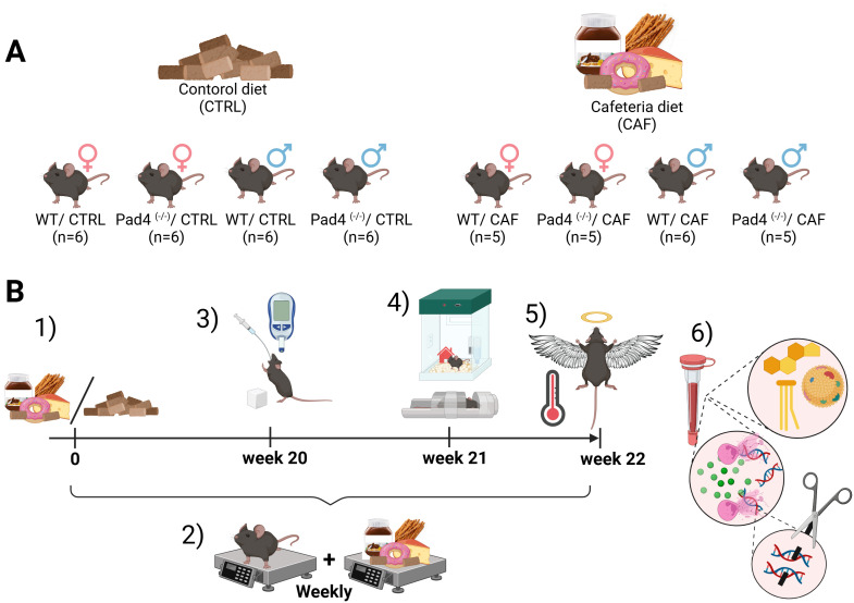 Figure 1