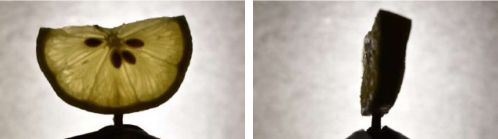 Figure 8