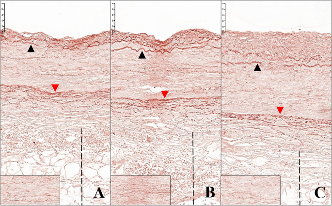 Figure 8
