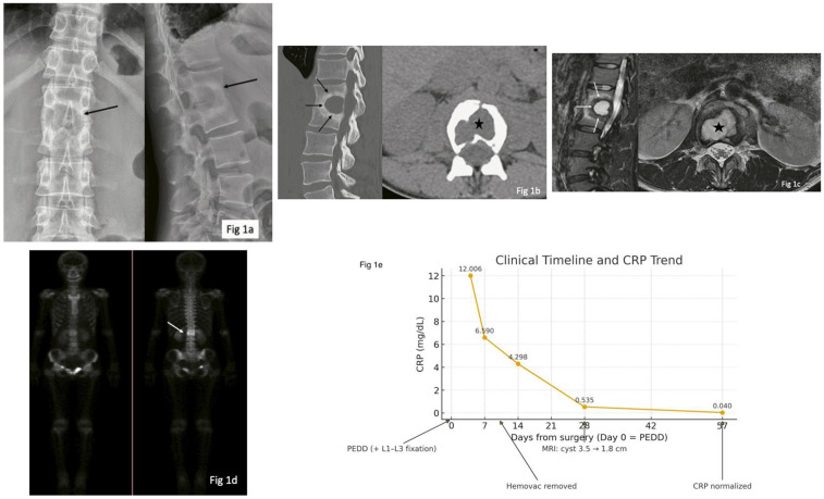 Figure 1