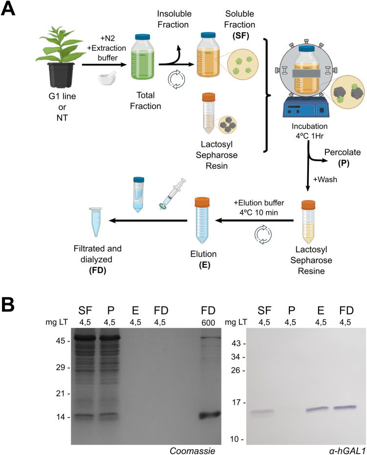 Figure 3