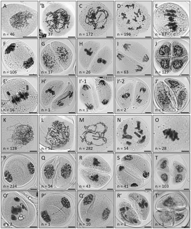 Figure 2
