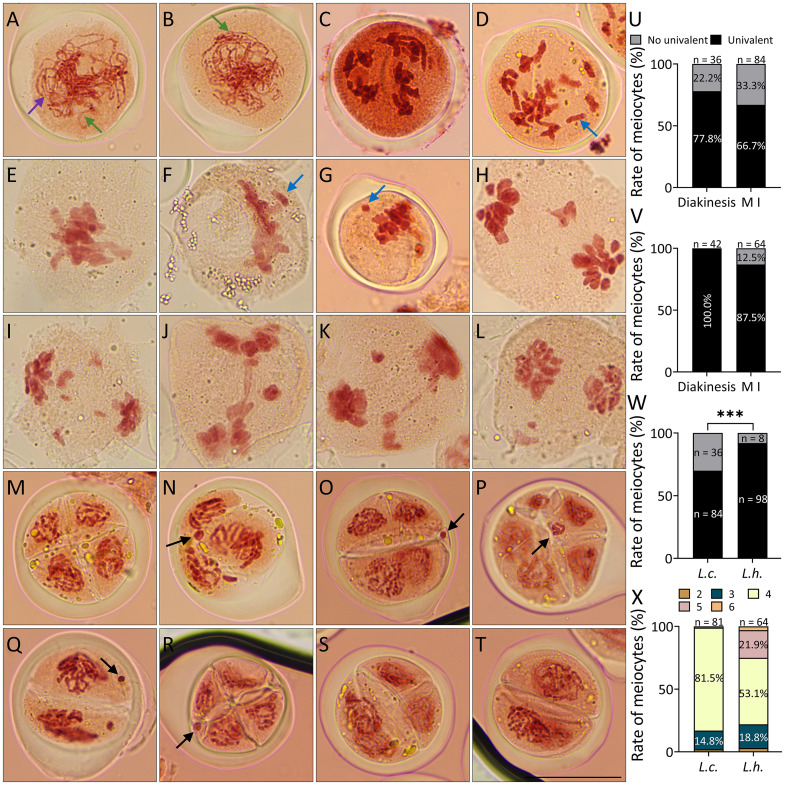 Figure 6