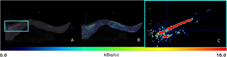 Figure 1