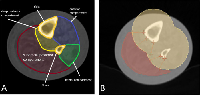 Figure 2