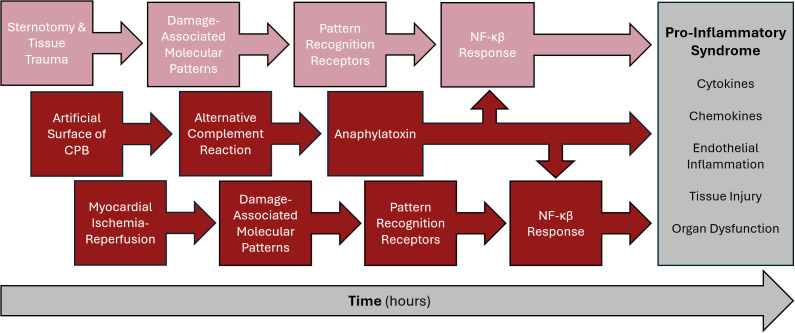 Figure 4