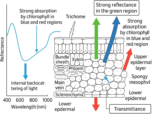 Figure 2