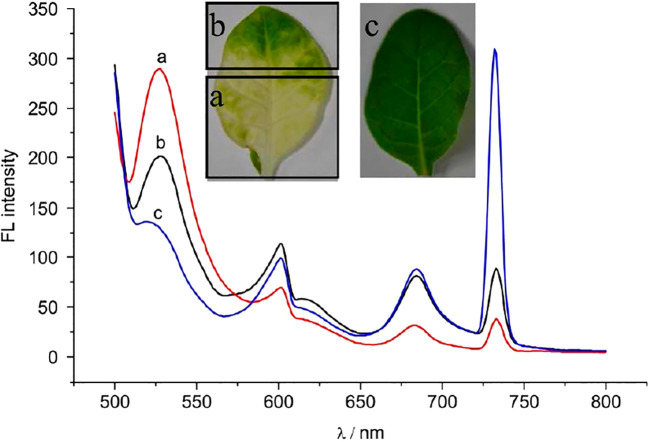 Figure 7