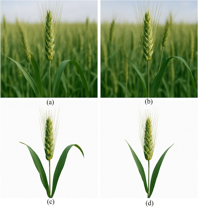 Figure 10
