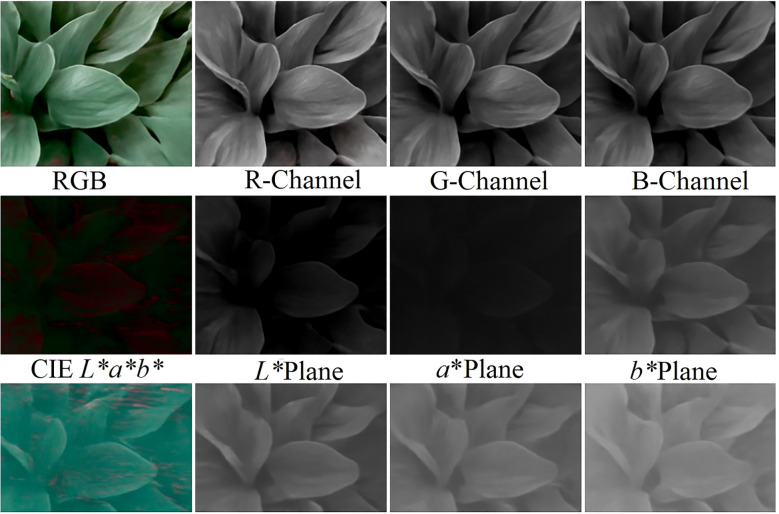 Figure 11