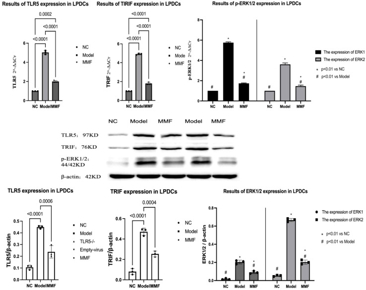 Figure 4