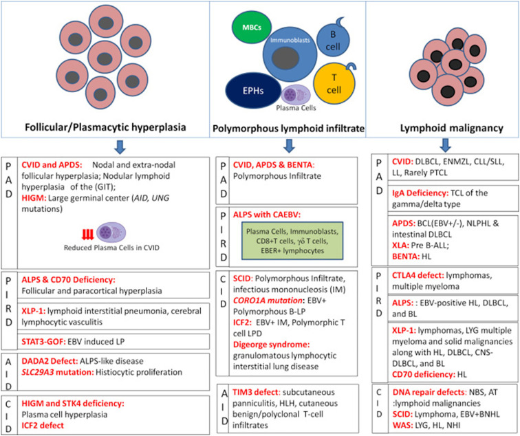 Figure 6
