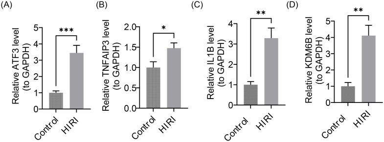 Figure 12