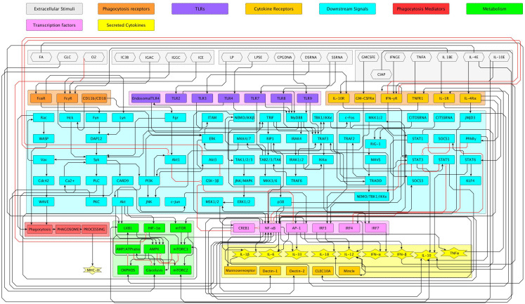 Figure 2