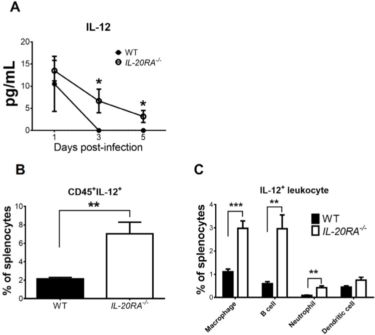 Figure 5