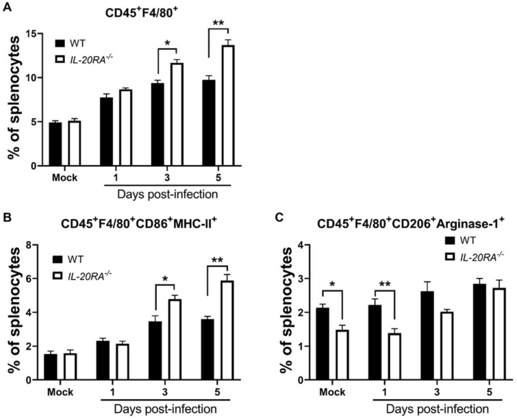 Figure 6
