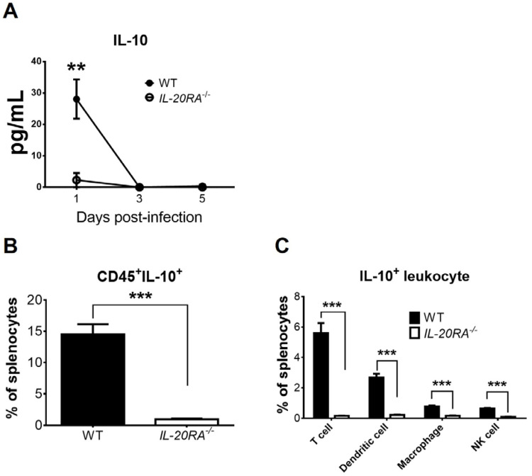 Figure 7