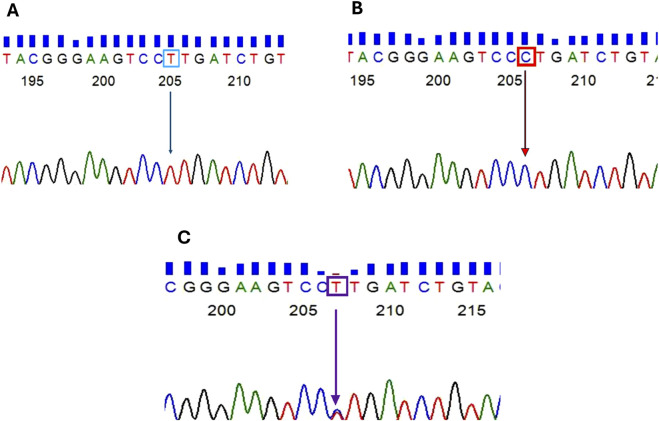 FIGURE 2